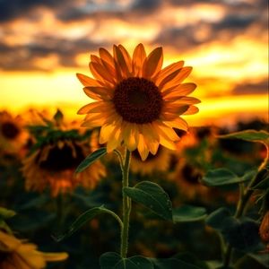 Get to know a Lil about me, Shana 🖐😁